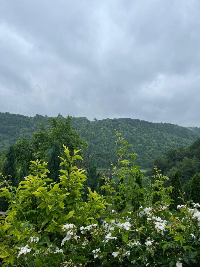 Villa Nature Bihać Exterior foto